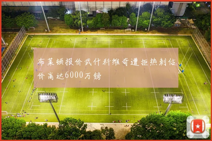 布莱顿报价武什科维奇遭拒热刺估价高达6000万镑